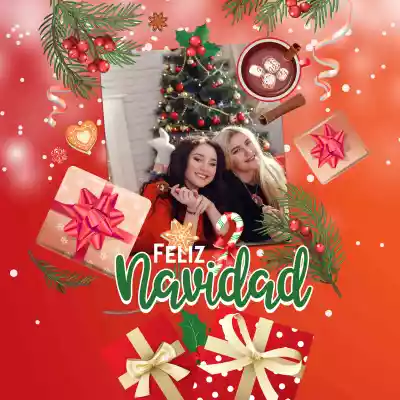 vectores plantilas NAVIDAD,COJINES,MARCO FOTO,
